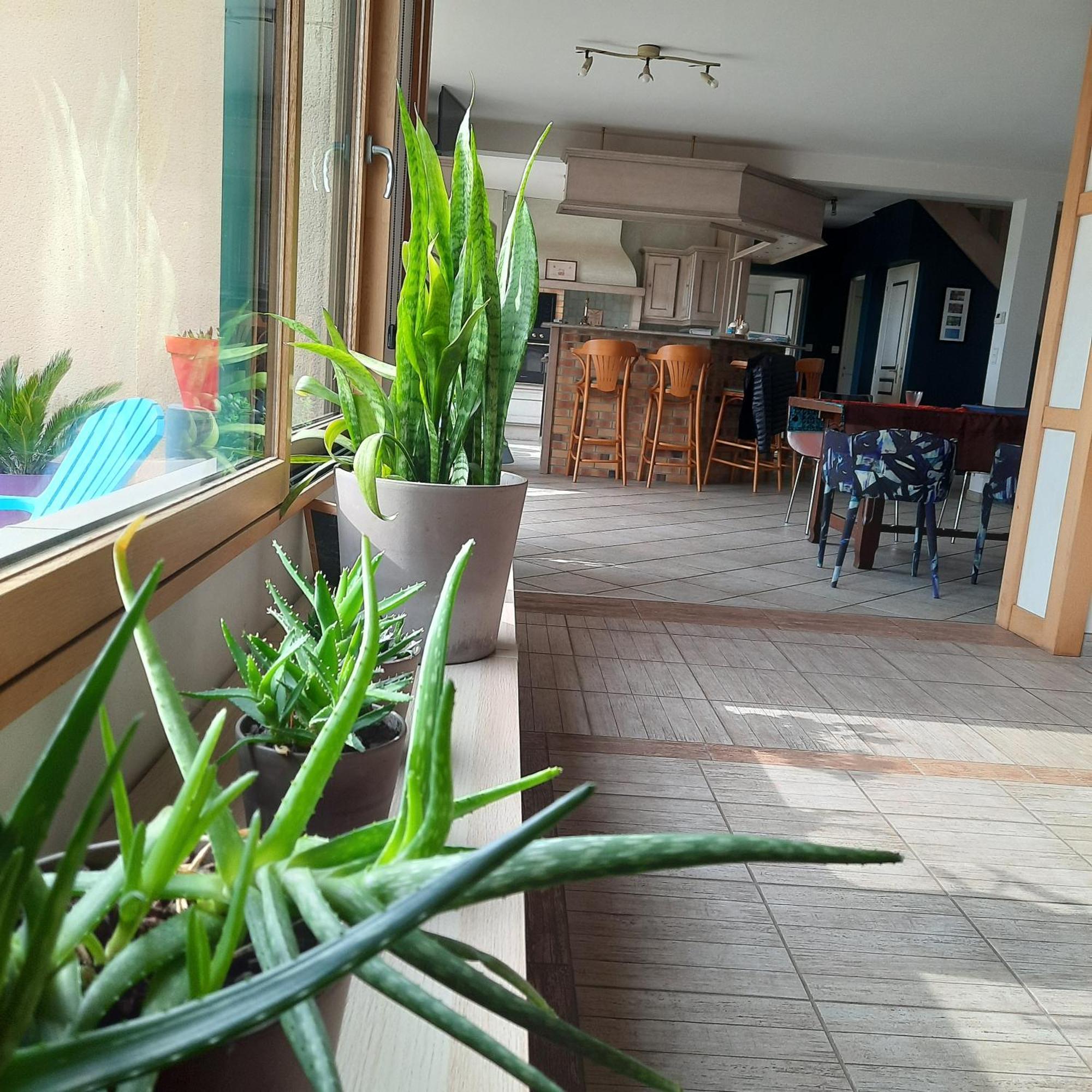 Magnifique Villa Avec Piscine Interieure Saint-Pois Eksteriør billede